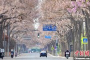 东阳共建“花园城市” 北京这场议政会“百花齐放”