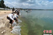 东阳云南江川举行增殖放流活动 逾54万尾鱼游入星云湖